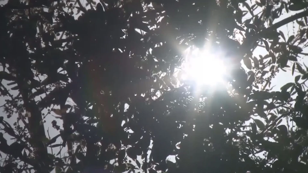 Temperaturas seguirán bajando en Culiacán