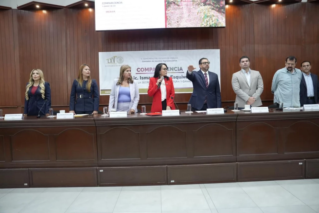 Comparece ante legisladores Ismael Bello