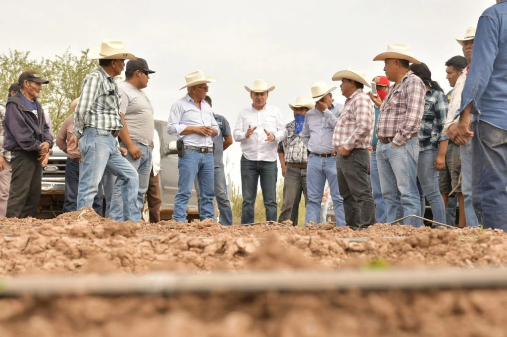 Campo sonorense repunta con crecimiento del 18% en actividad primaria