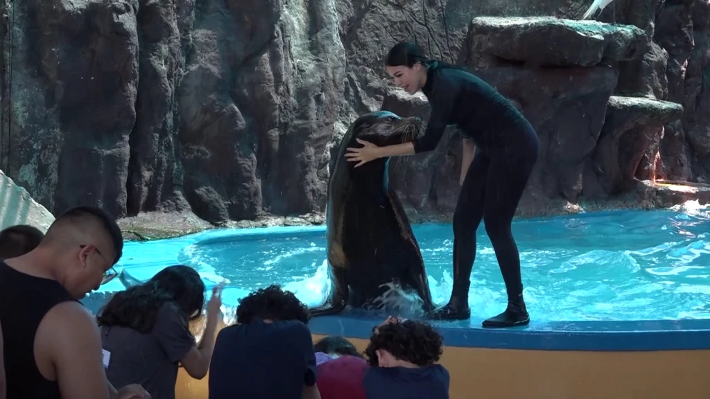Se espera hasta el doble de visitantes por día, durante el Carnaval en el Gran Acuario de Mazatlán