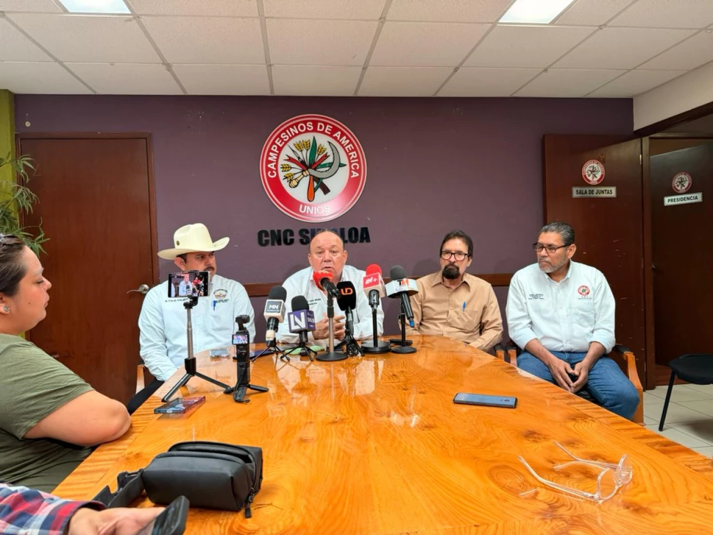 Alertas los productores de Sinaloa por caída en siembras