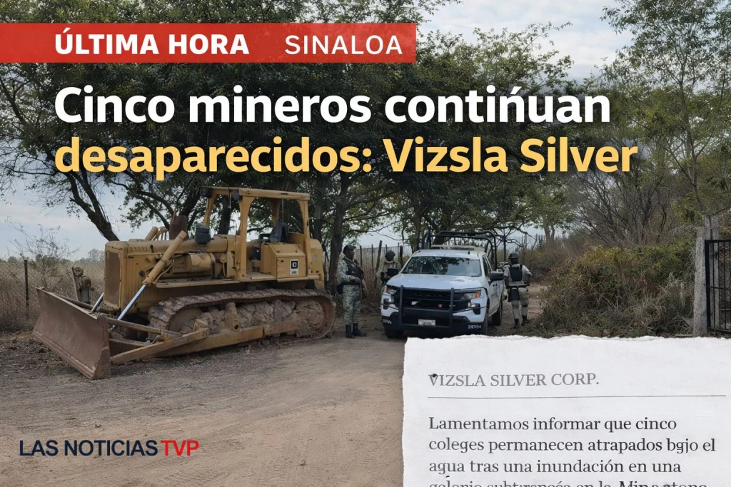 Cincon mineros siguen desaparecidos: Vizsla Silver