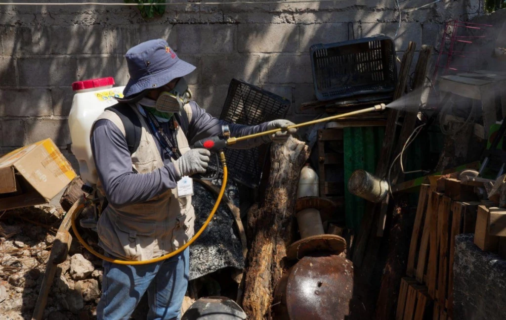 Sonora entra en fase de descenso por dengue y reduce casos a solo tres en una semana