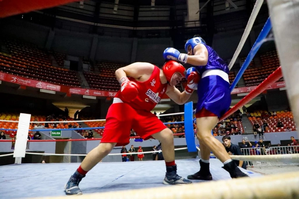 Pugilistas sonorenses inician camino por cinturones de la Olimpiada Estatal
