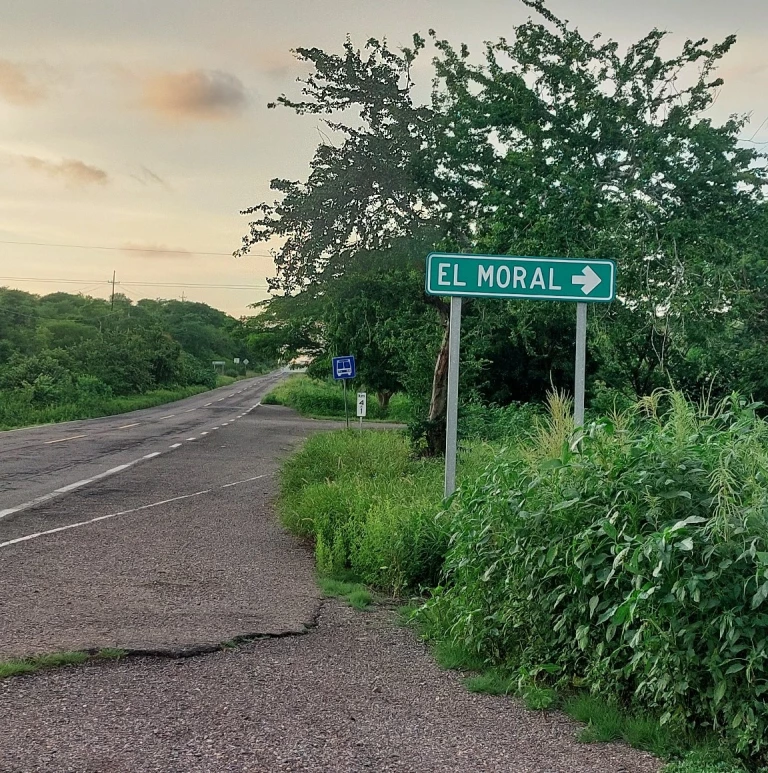 Localizan cuerpo calcinado al norte de Mazatlán