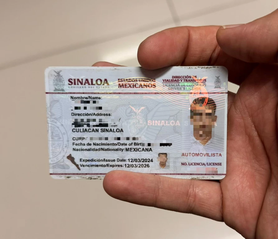 Publican en Sinaloa reforma para licencias de conducir permanentes | Lo relevante | Noticias | TVP | TVPACIFICO.MX
