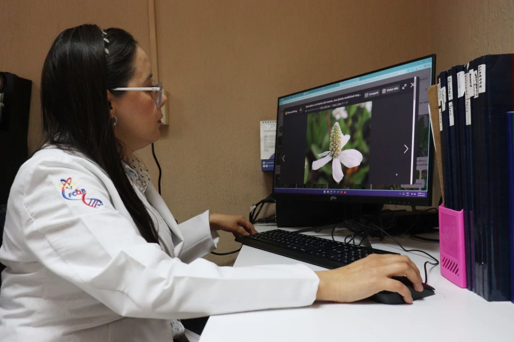 Investigadores de la UAS comprueban eficacia y seguridad de la medicina tradicional