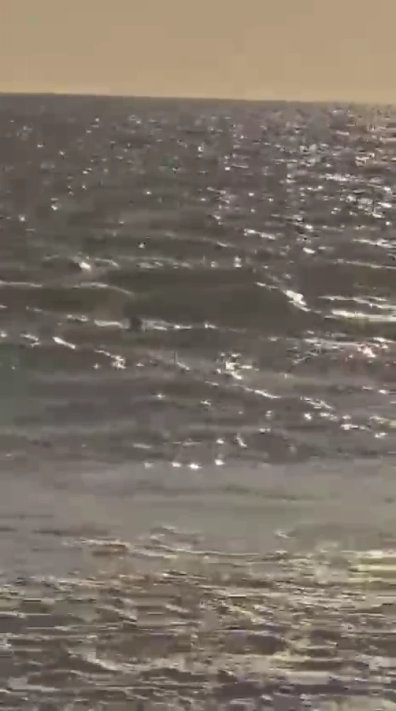 Rescatan de morir ahogado a hombre en Mar de las Cabras, Escuinapa