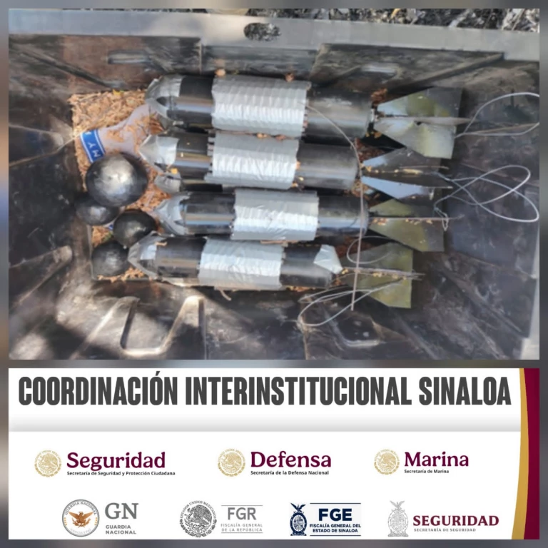 Aseguran en Tepuche 12 explosivos improvisados