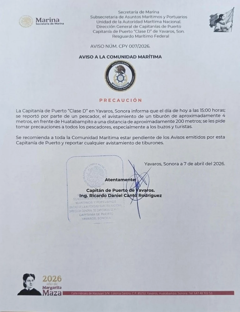 Alertan por avistamiento de tiburón en Huatabampito