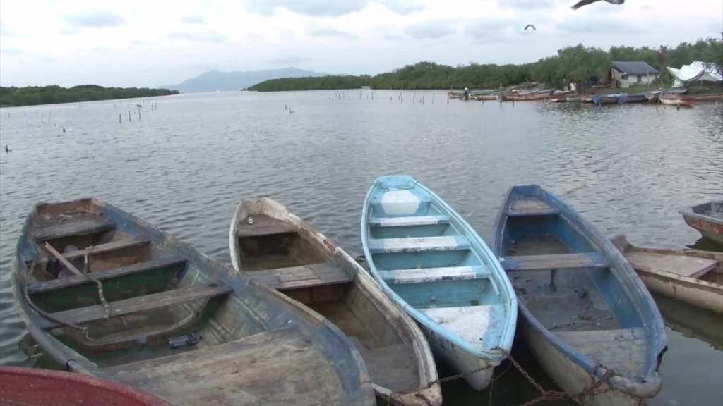 Pesca furtiva se presenta más en la zona centro norte de Sinaloa