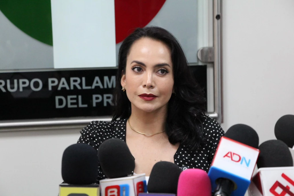 Falta de preparación de Mario Delgado proponer recorte del ciclo escolar: Irma Moreno