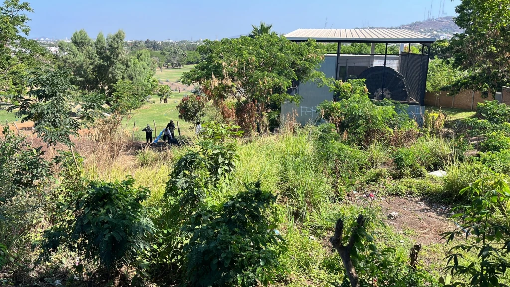 Encuentran a hombre sin vida con las manos esposadas en terreno baldío de Mazatlán