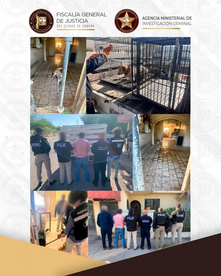 Rescatan a tres perros durante cateo por presunto maltrato animal en Hermosillo