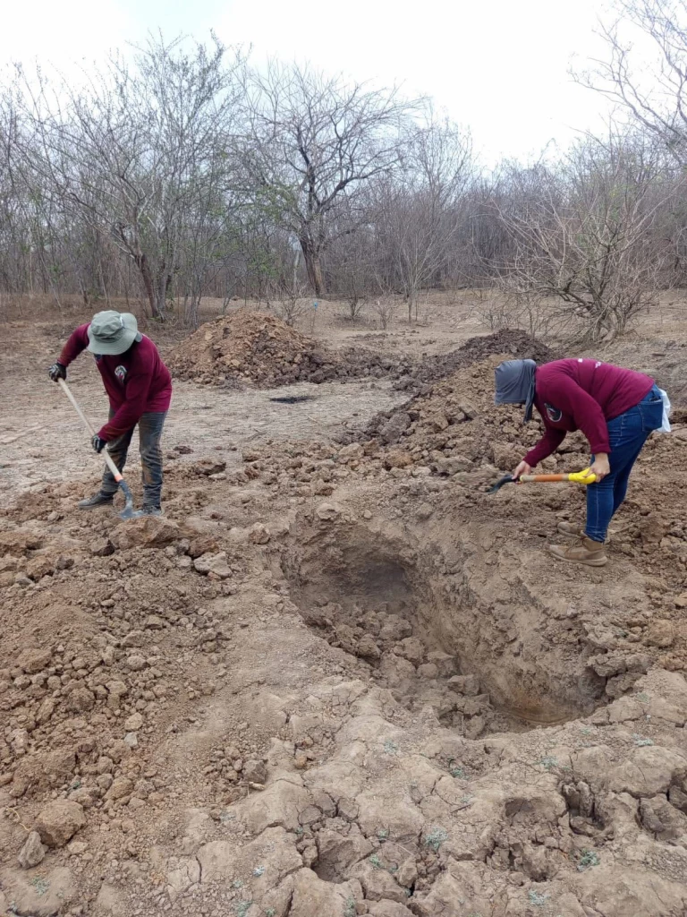 Encuentran cinco cuerpos en fosas clandestinas en jornada de búsqueda en Concordia
