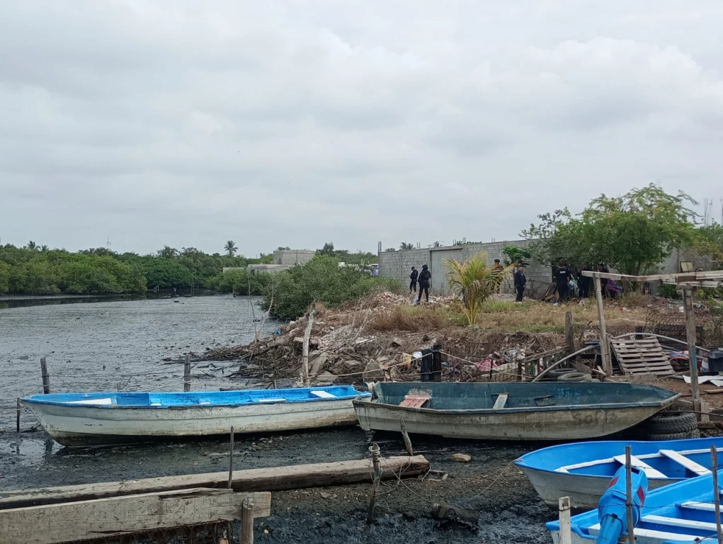 Estructura torácica encontrada en marismas de Mazatlán corresponden a un cerdo 
