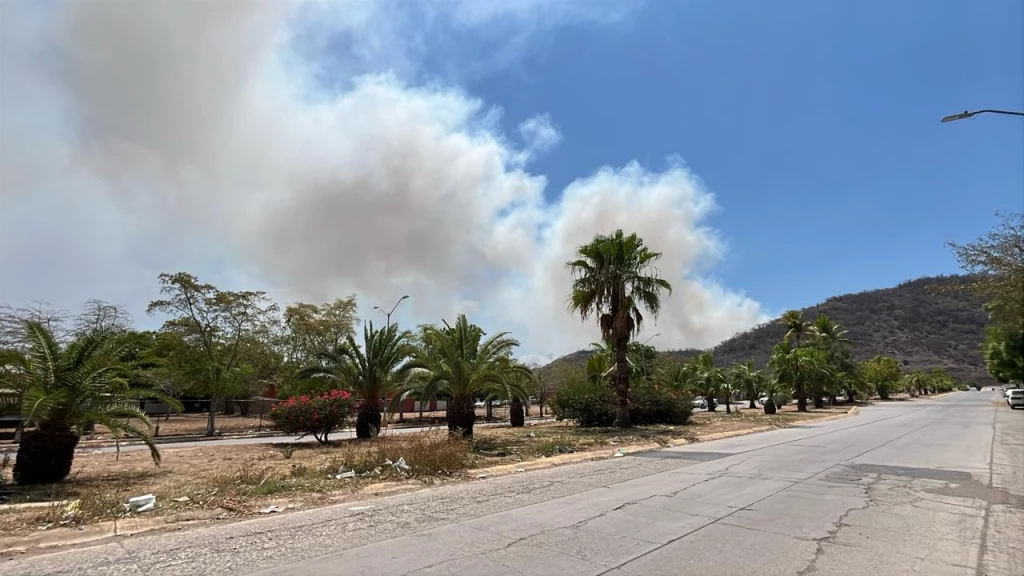 Se mantiene activo incendio en el Basurón Municipal de Mazatlán