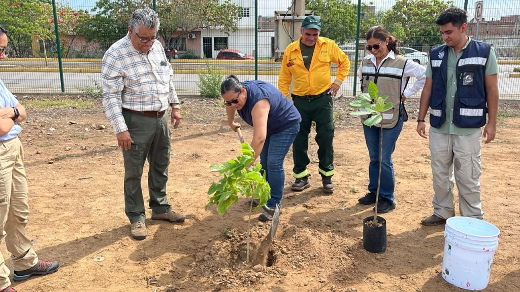 Celebran el día nacional del árbol con arborización en Mazatlán