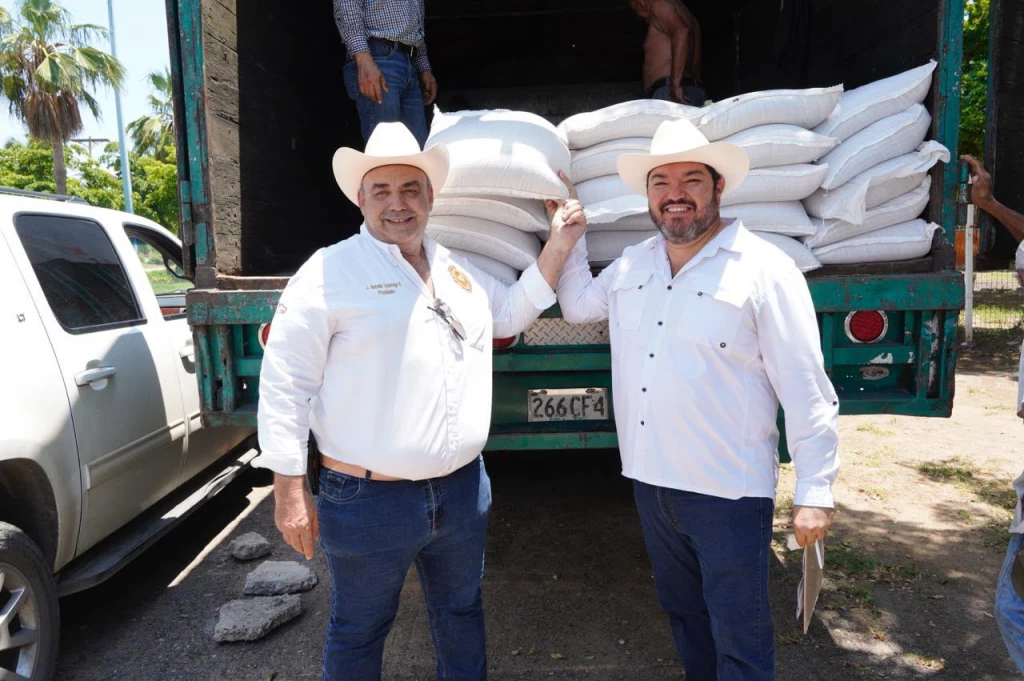 Entregan semilla de sorgo gavatero a ganaderos de Mazatlán