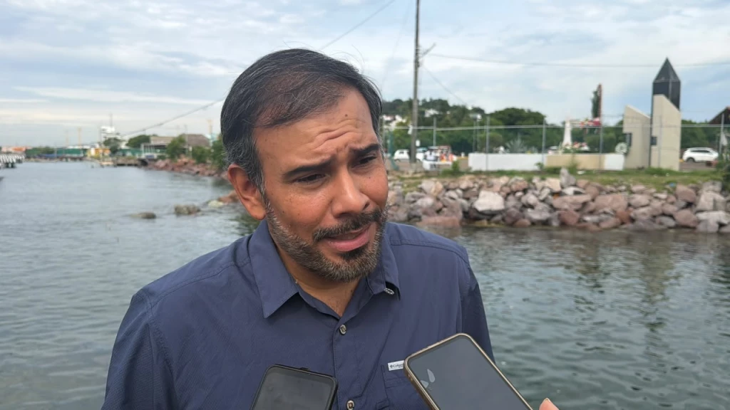 Más del 50% de embarcaciones de Mazatlán no saldrán a capturar camarón cuando se levante la veda 