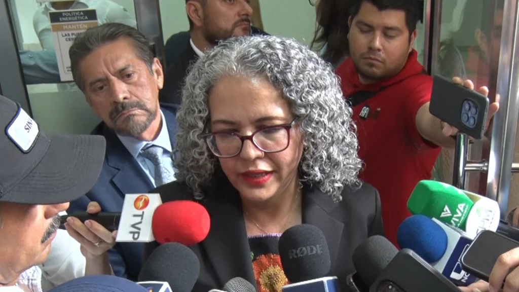 Trabajo del gabinete estatal de revisa todos los días : Graciela Domínguez