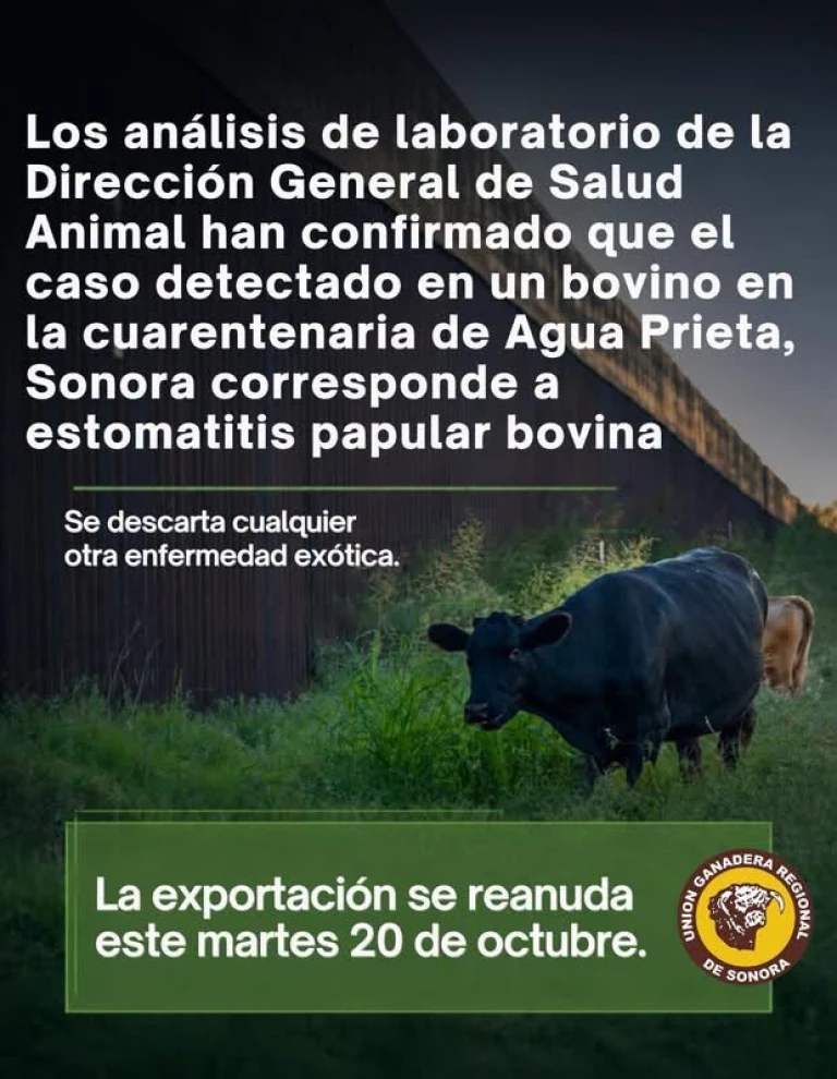 Confirmado: Reanudarán exportación de ganado a EE. UU. este martes tras descartar fiebre aftosa