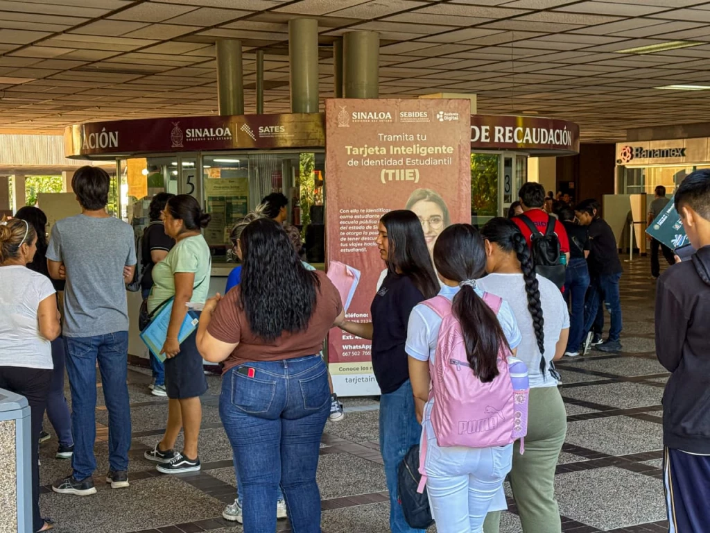 Habilitada la plataforma para las TIIES