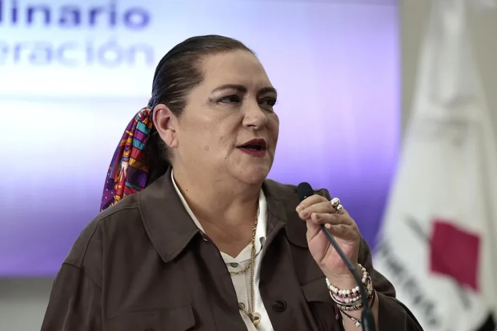 Guadalupe Taddei anuncia su renuncia al INE ante la Cámara de Diputados