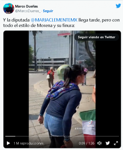 Diputada de Morena les grita "nacos" a los asistentes en marcha del INE