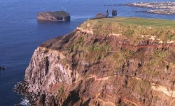 Hallan en Madeira el fósil de hormiga más antiguo de isla de origen volcánico