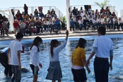 Conmemoran Día Internacional de las Personas con Discapacidad en Delfinario Sonora