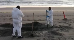 Encuentran a hombre enterrado en la playa al sur de Culiacán