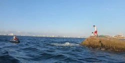 Retiran redes de pesca de las rocas donde descansan los lobos marinos en Mazatlán