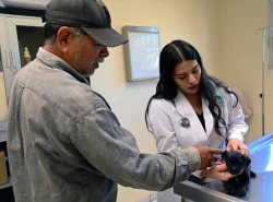 Uso de pirotecnia y sus consecuencias en perros y gatos