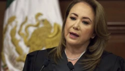 Acusan a aspirante a presidir Supremo mexicano de plagiar su tesis