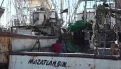 Pescadores camaroneros de Mazatlán reciben el 2023 sin trabajo