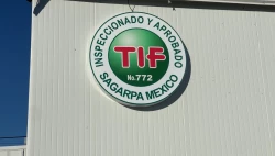 Procesos administrativos incorrectos, resultado de auditoría en Rastro TIF de Mazatlán