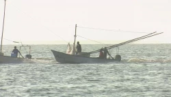 “No hay pescadores fantasmas”: PESCA SINALOA