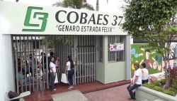 Crece en un 30 por ciento matrícula estudiantil de Cobaes en la zona sur de Sinaloa