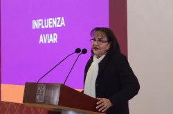 Sonora puede movilizar productos derivados del pollo al quedar libre de influenza aviar: Secretaría de Agricultura