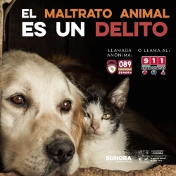 Llama C5i Sonora a ciudadanos reportar maltrato animal al 9-1-1 y 089