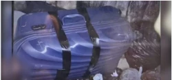 Encuentran cuerpo de joven DJ colombiana en maleta