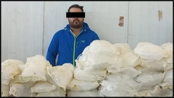 En Sonora decomisan 400 kilos de metanfetaminas de un tractocamión