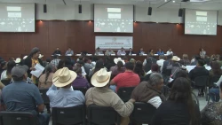 Realiza congreso del estado consulta indígena sobre ley de educación superior