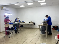 Gobierno de Sonora llevará a cabo doble jornada de esterilización de mascotas esta semana