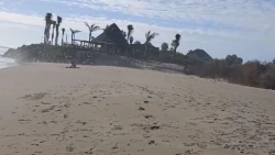 Playa de Isla Cortes en Altata está tomada por las fraccionadoras