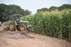 La U.A.S. tendrá presencia en la Expo Agro Sinaloa