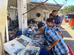 Venta de pescado en Mazatlán aumentó al 60 por ciento durante carnaval