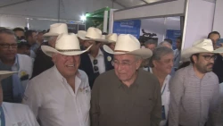 Sin definir el precio base por la tonelada de maíz