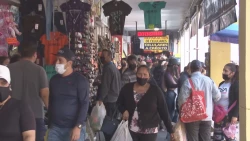 Dispone la Secretaría de Economía de 7 MDP para profesionalización y certificación